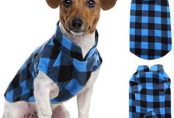 25+ Patterns For Sewing Dog Clothes